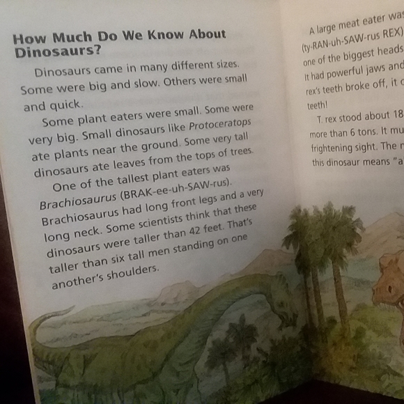 Reading Bundle Grade 3-4 Comprehension - Picture 5 of 5